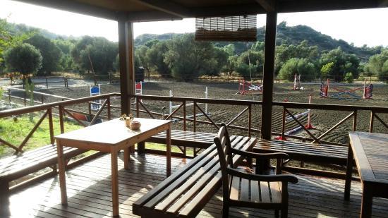 Μουσείο Σταματιάδη Ορυκτολογίας και Παλαιοντολογίας
