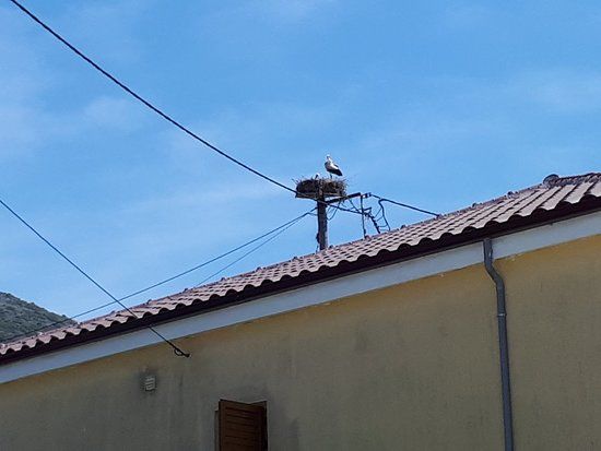 Ενετικο Καστρο Παργασ