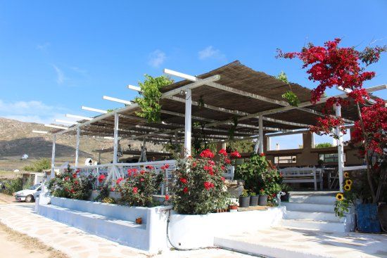 Μυκόνου Βίωμα Οικολογικό Αγρόκτημα