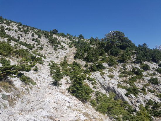 Δημοτικό Πάρκο Σιδηροδρόμων Καλαμάτας