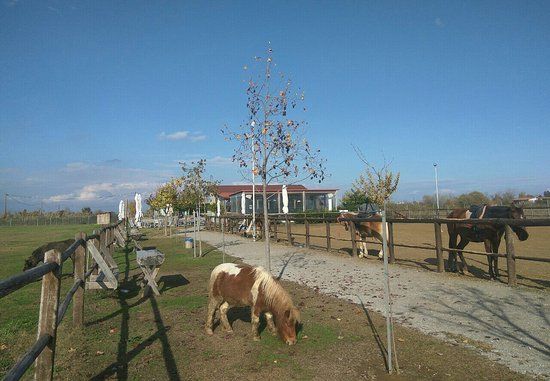 Αρχαιολογικό Μουσείο Καρδίτσας