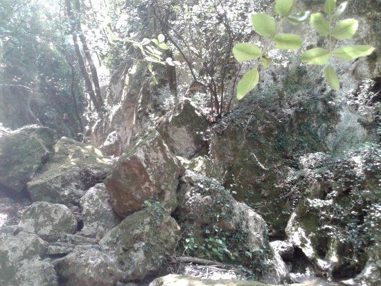 Καταφύγιο Πολέμου του Πλατανιά