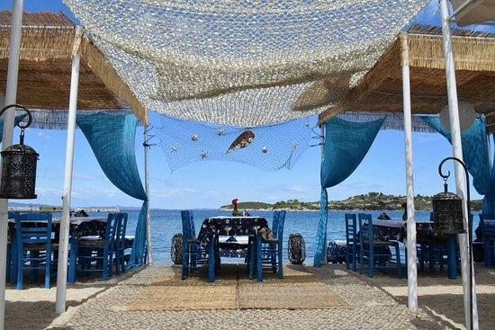 Barbouni sea food