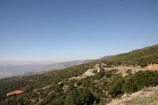 Μνημείο Αλικιανών