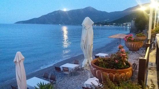 Zavalis Taverna