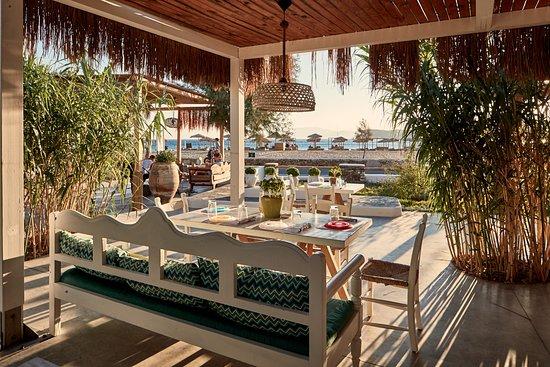 Almyra By the Sea