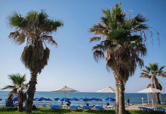 La Playa Taverna Cafe Ouzeri