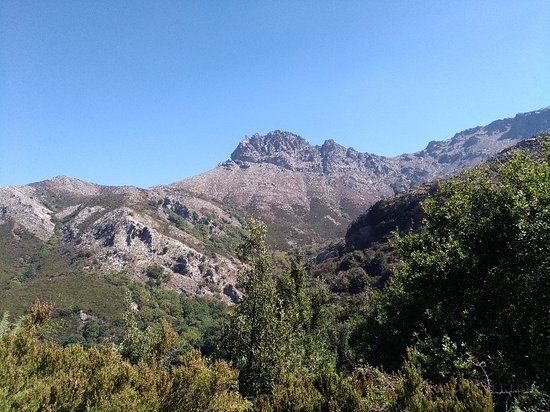Κοκκινοκαστρο