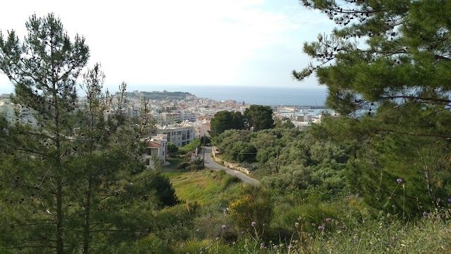 Δημοτικός Κήπος