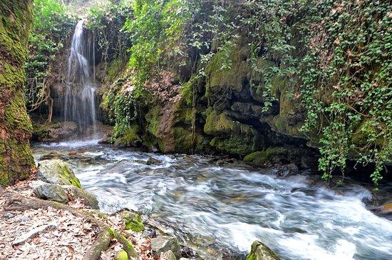 Sarıkız Kazdağı Etnografya Galerisi