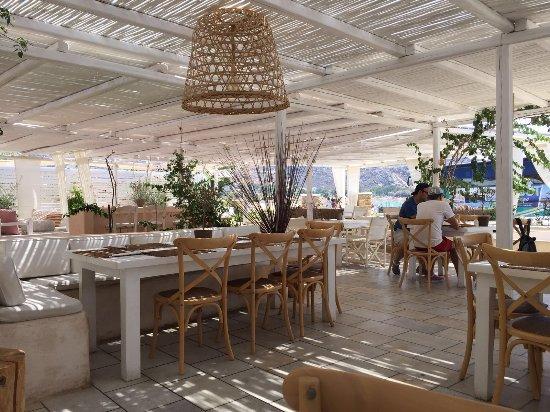 Salt Restaurant Bar