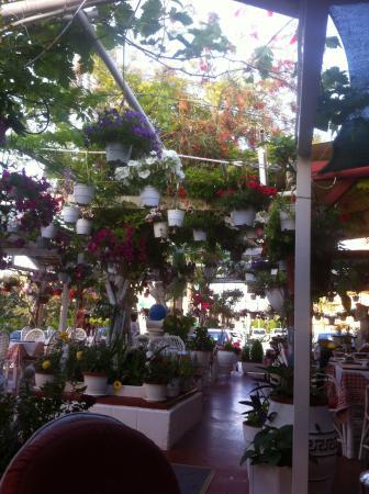 Hotel Mythos