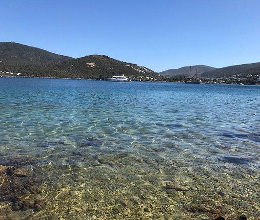 Παραλία Torba