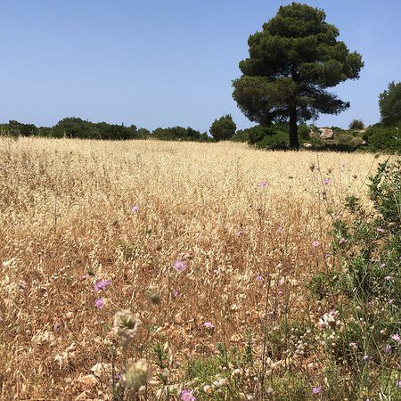 Ιερός Ναός Αγίου Διονυσίου