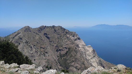 Πλάτανος του Ιπποκράτη