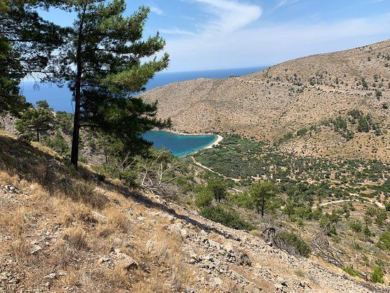 Νέα Βρασνά
