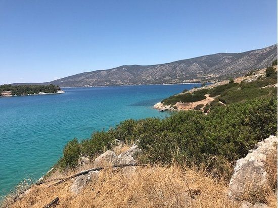 Ερμιόνη