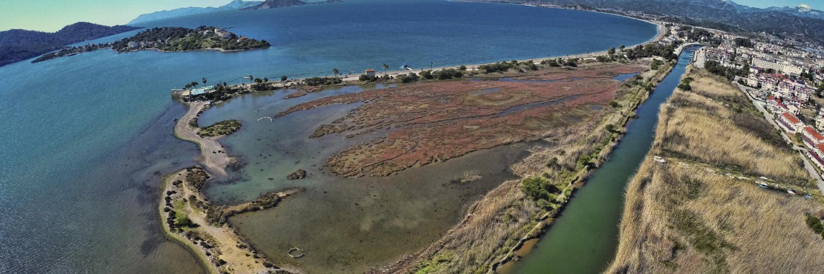 Καταφύγιο ΠτηΝώΝ