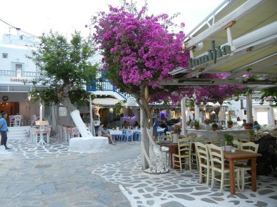 Ματογιάννη